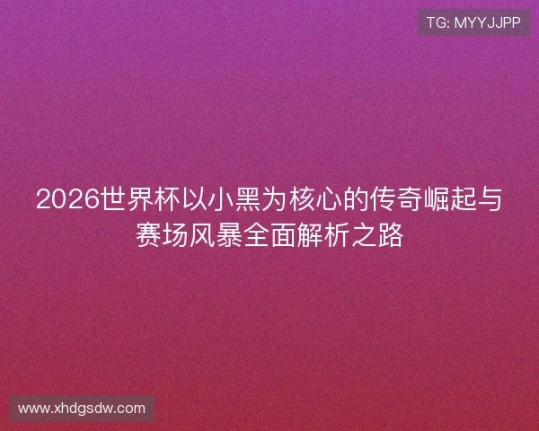 2026世界杯以小黑为核心的传奇崛起与赛场风暴全面解析之路